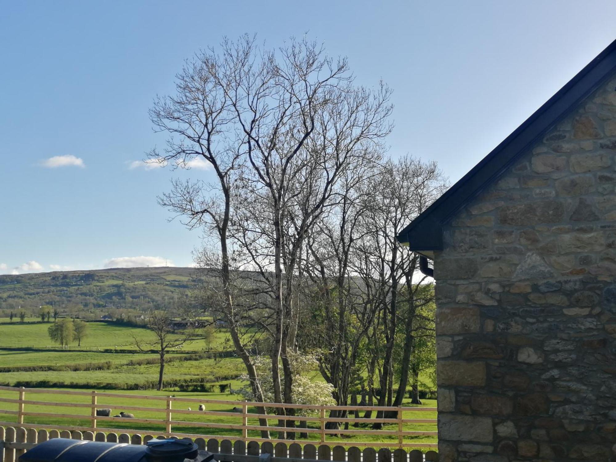 Knockninny Barn At Upper Lough Erne, County Fermanagh Enniskillen Extérieur photo